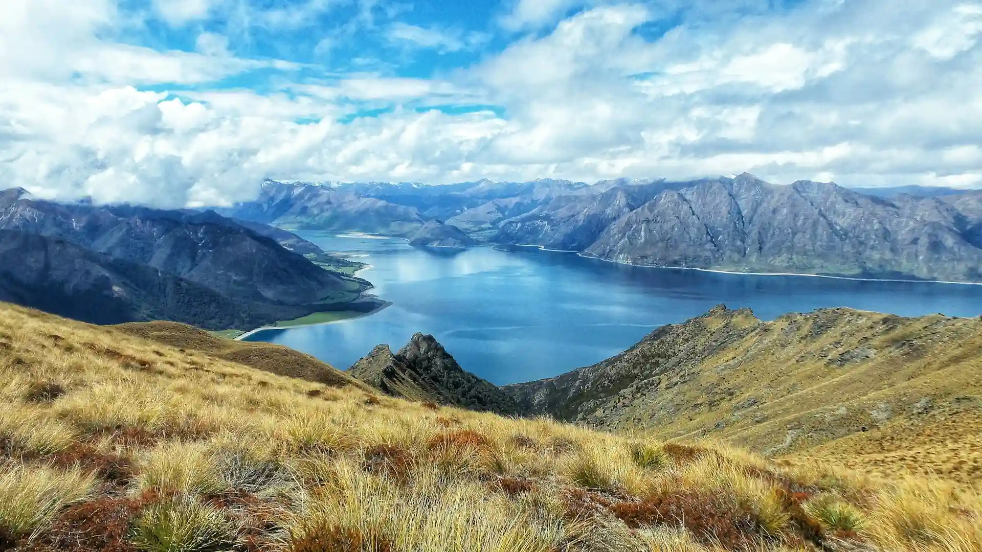 new zealand